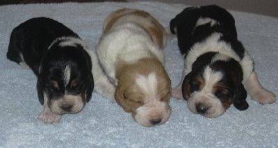 boys 14 days old