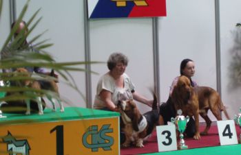 Cerruti Cerruti