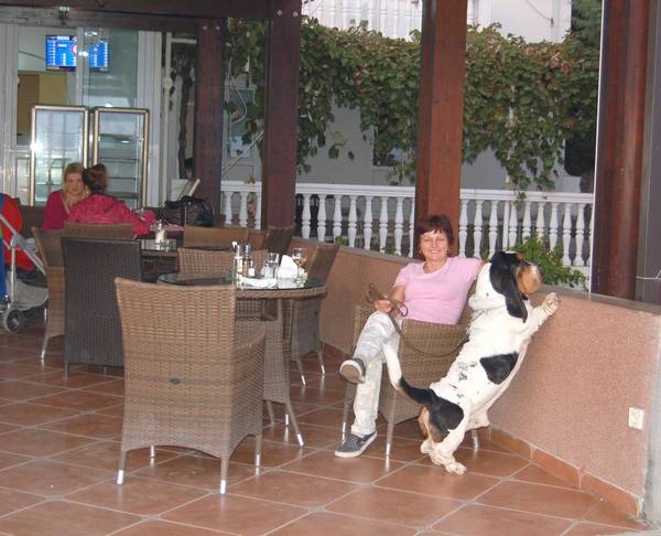 relax relax