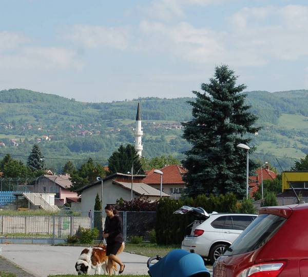 PANORAMA VITEZ