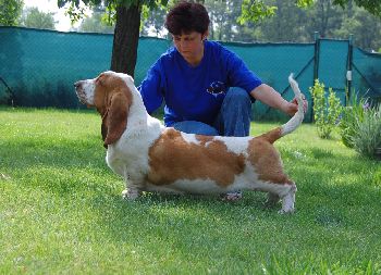 Berano